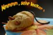 Mauskuchen