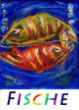 DSC_6647 fische .jpg